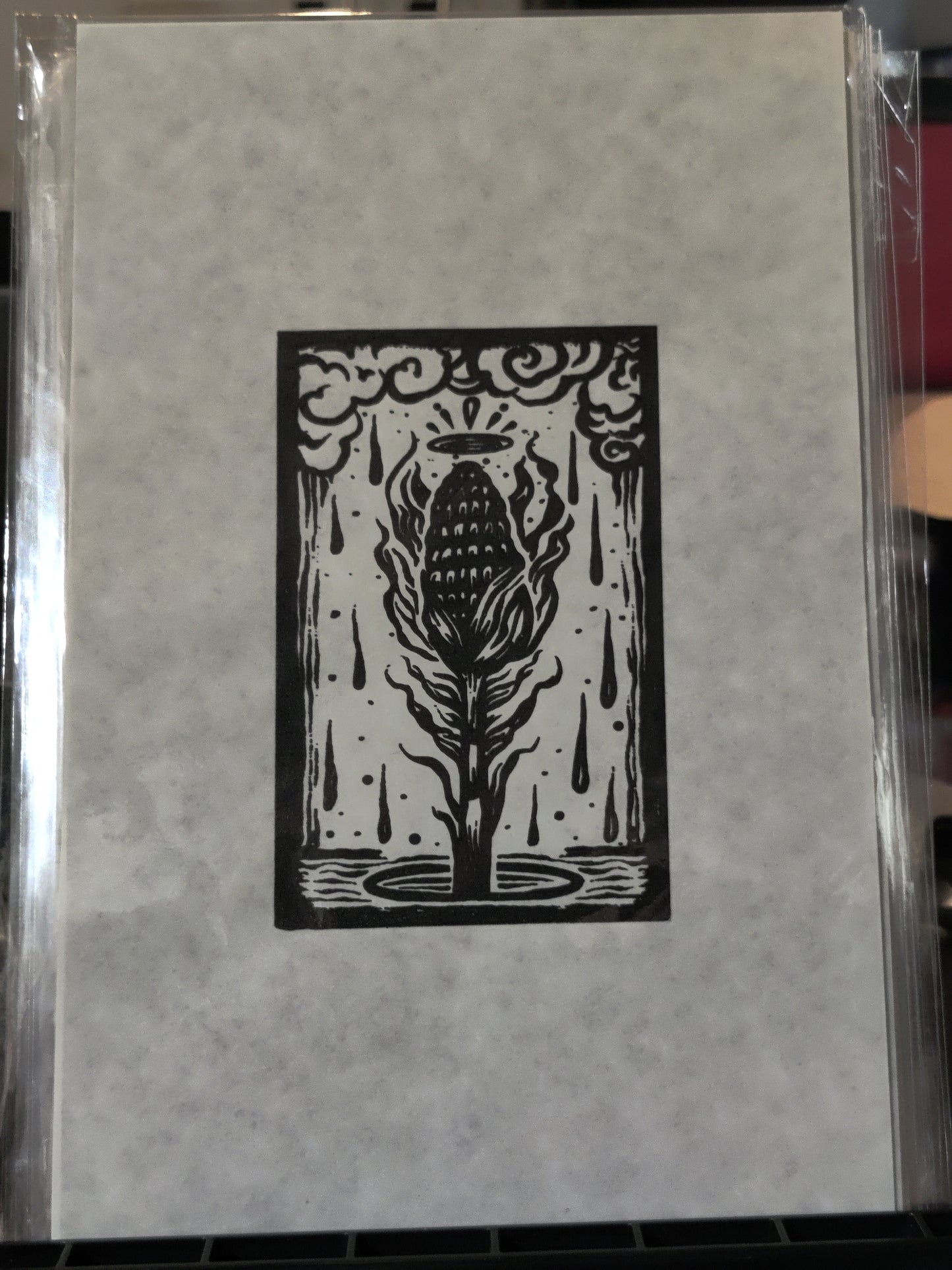 Corn / Maize - screen print